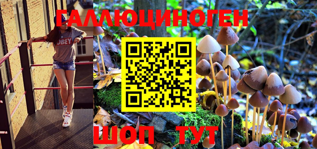 Галлюциногенные грибы GOLDEN TEACHER Комсомольск-на-Амуре