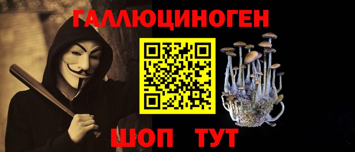 Комсомольск-на-Амуре  Псилоцибиновые грибы Psilocybe  Вход с VPN  Псилоцибиновые грибы MAGIC MUSHROOMS 